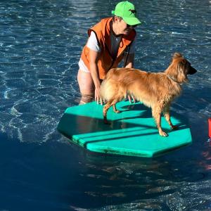 HundimFreibad_2026_9 HundimFreibad_2026_9