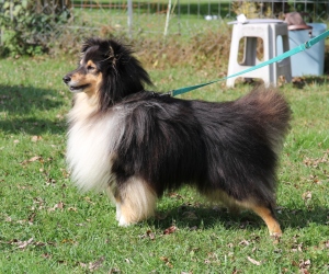 Vasco