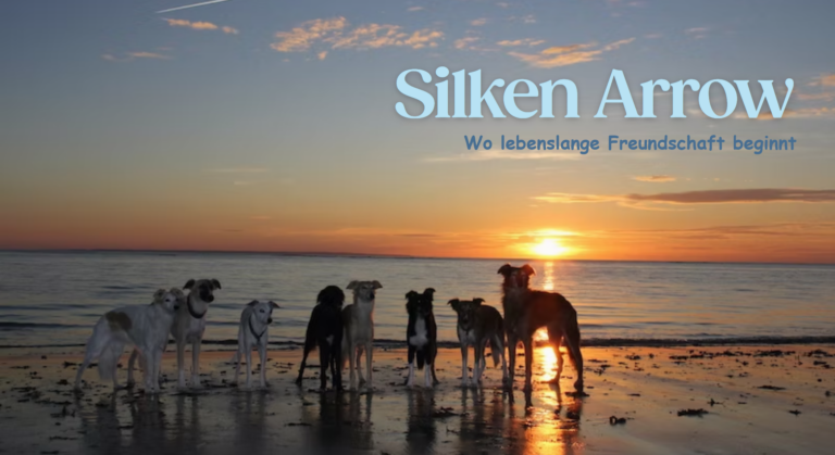 Silken Arrow